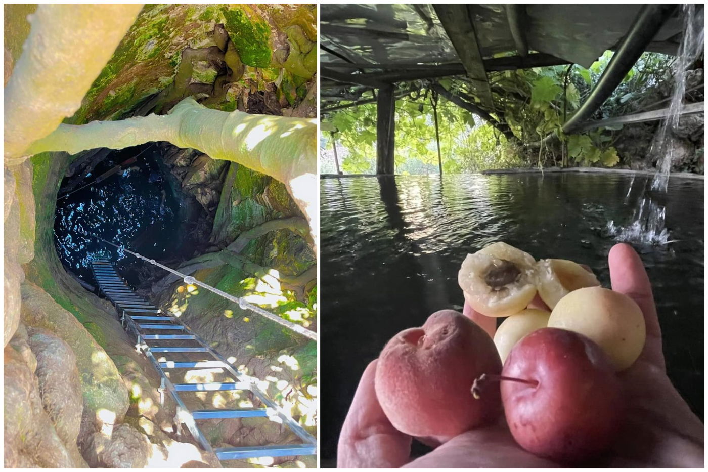 המעיינות בביתר עילית בין גבעה A ו-B ובאר האלה בעונת האביב | מתוך ספר 'המקומות הנדירים הקדושים והרטובים בארץ ישראל'