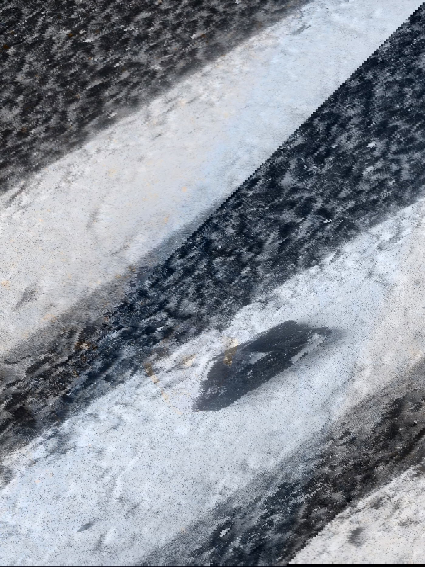 תיעוד שפרסמה המשטרה מאבן שהושלכה בהפגנה