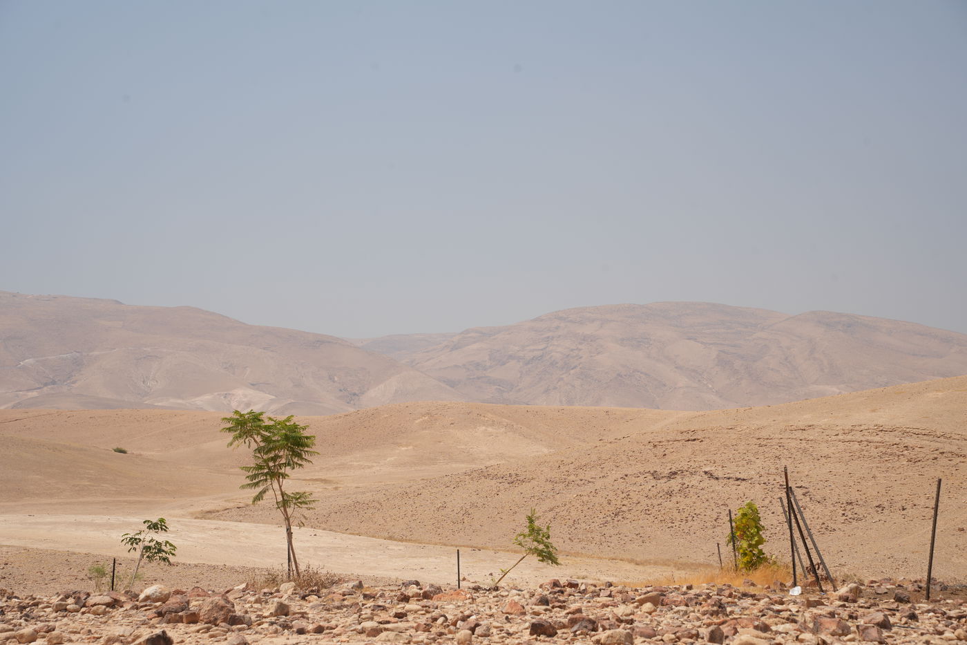 הצימר מיועד לזוגות ותוכנן להיות מרחב זוגי רחב ידיים, פסטורלי ומפנק