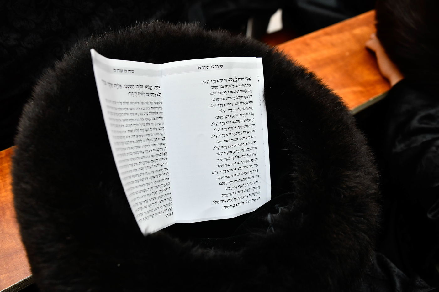 מוצאי שבת נחמו בחצה"ק סקולען ירושלים