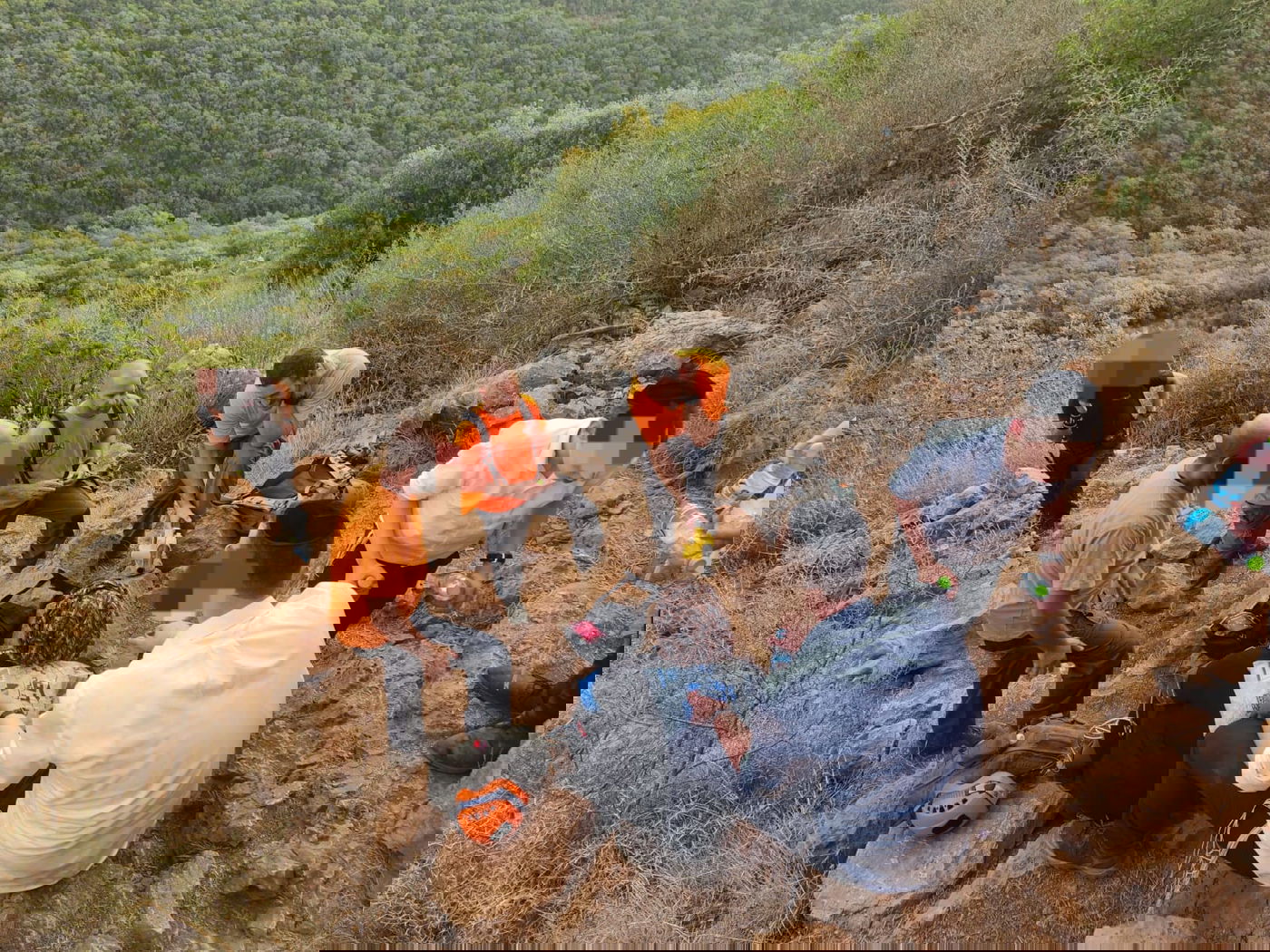 חילוץ הפצועים