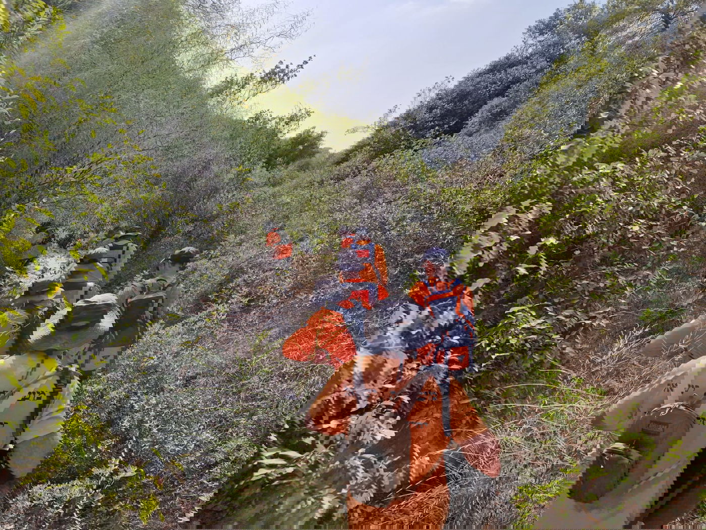 חילוץ הפצועים