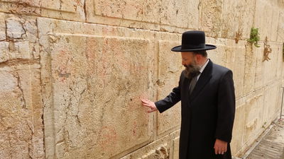 הרב שמואל רבינוביץ