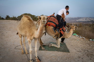 אילוסטרציה
