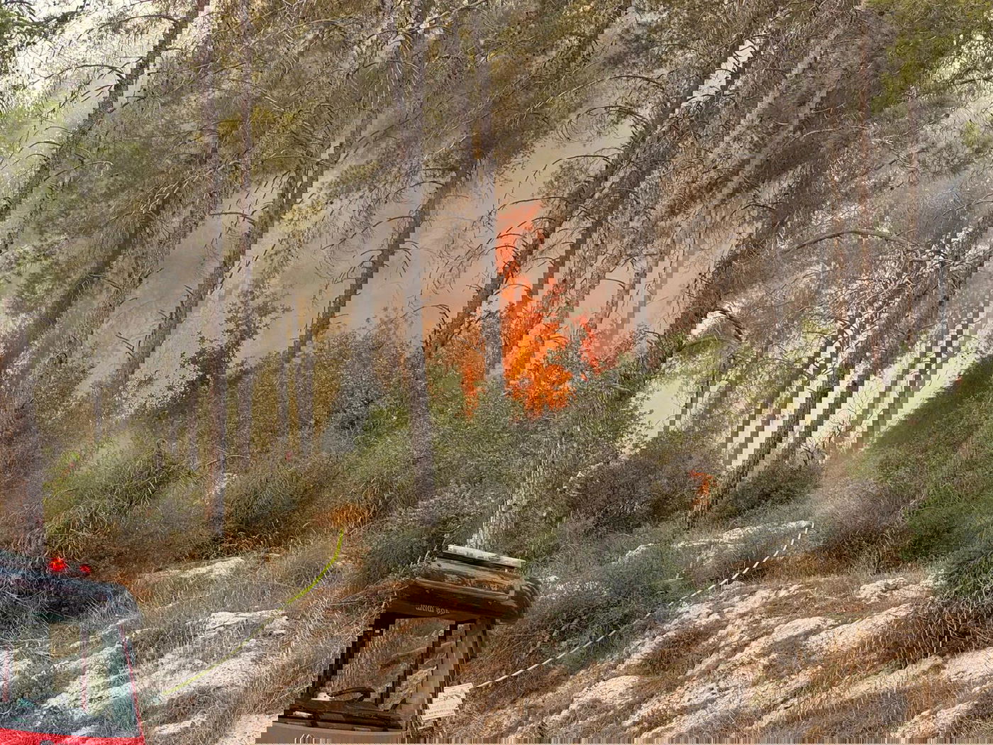 בחסות הרוחות והחום | שריפה גדולה מתפשטת ליד בית שמש 