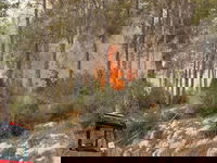 בחסות הרוחות והחום | שריפה גדולה מתפשטת ליד בית שמש 