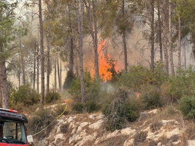 בחסות הרוחות והחום | שריפה גדולה מתפשטת ליד בית שמש 