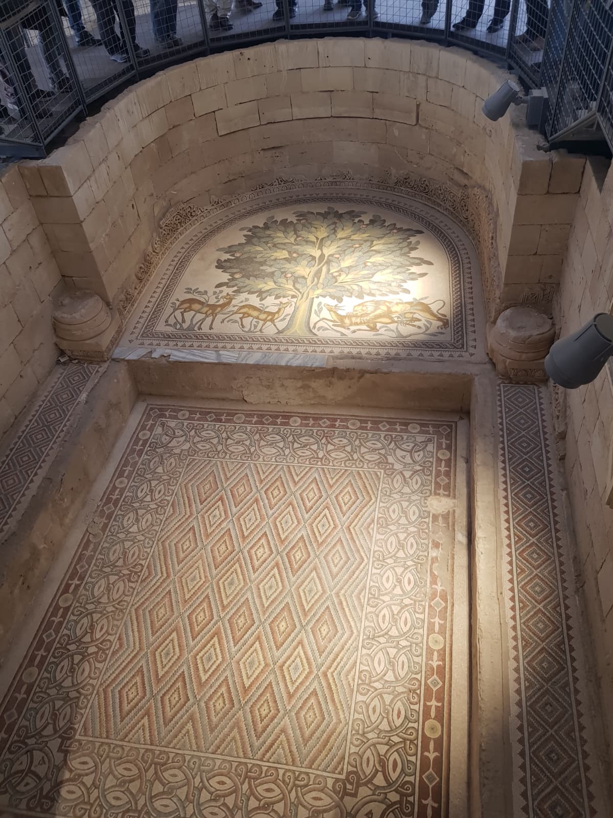 נפלאות העיר יריחו