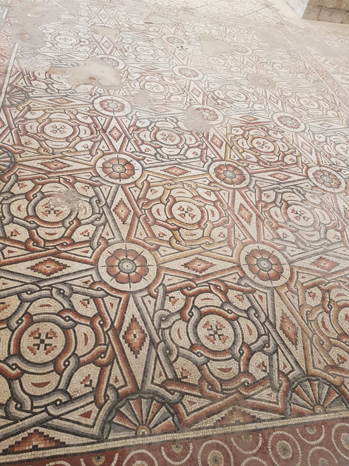 נפלאות העיר יריחו