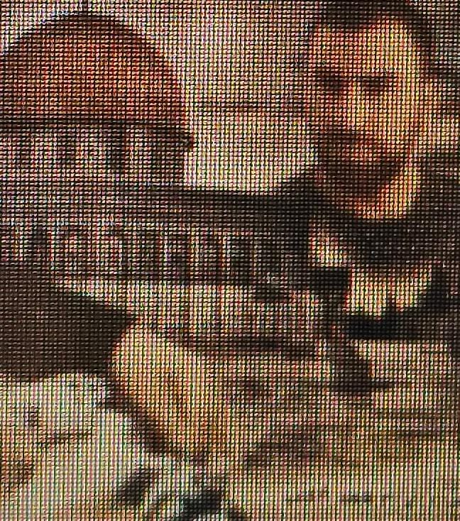 מהפוסטים ברשת – אל חדר החקירות: הערביה שיבחה את הטרור ונעצרה 