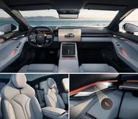 פנים רכב חשמלי של טסלה