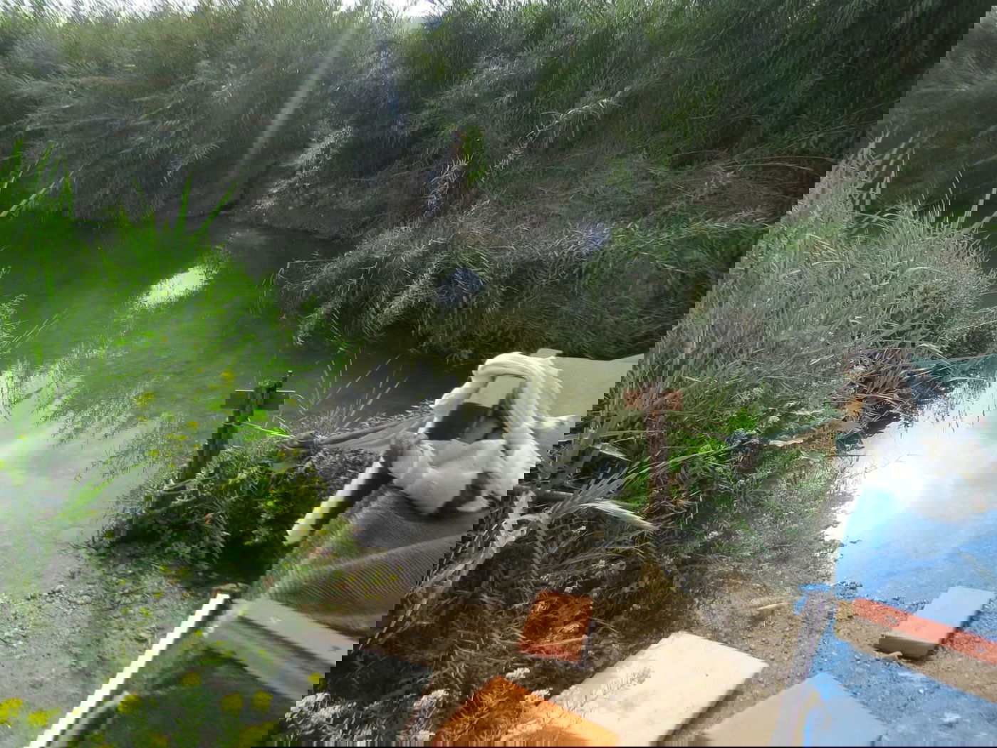 עין אביאל | מתוך ספר 'המקומות הנדירים הקדושים והרטובים בארץ ישראל'