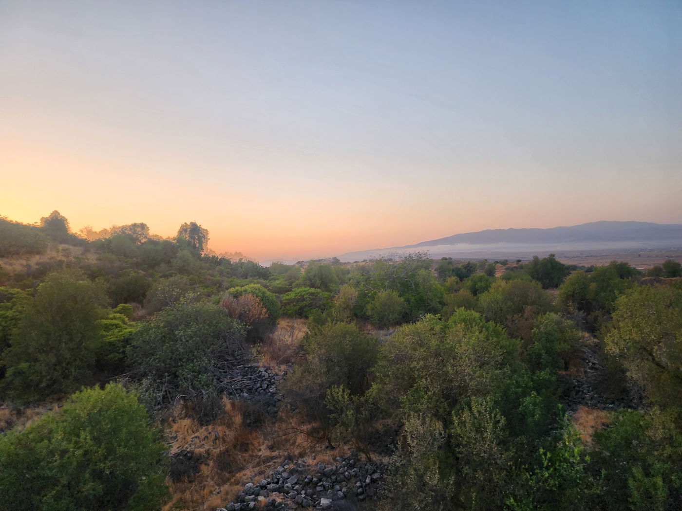 נפלאות כפר צֻרְמָן