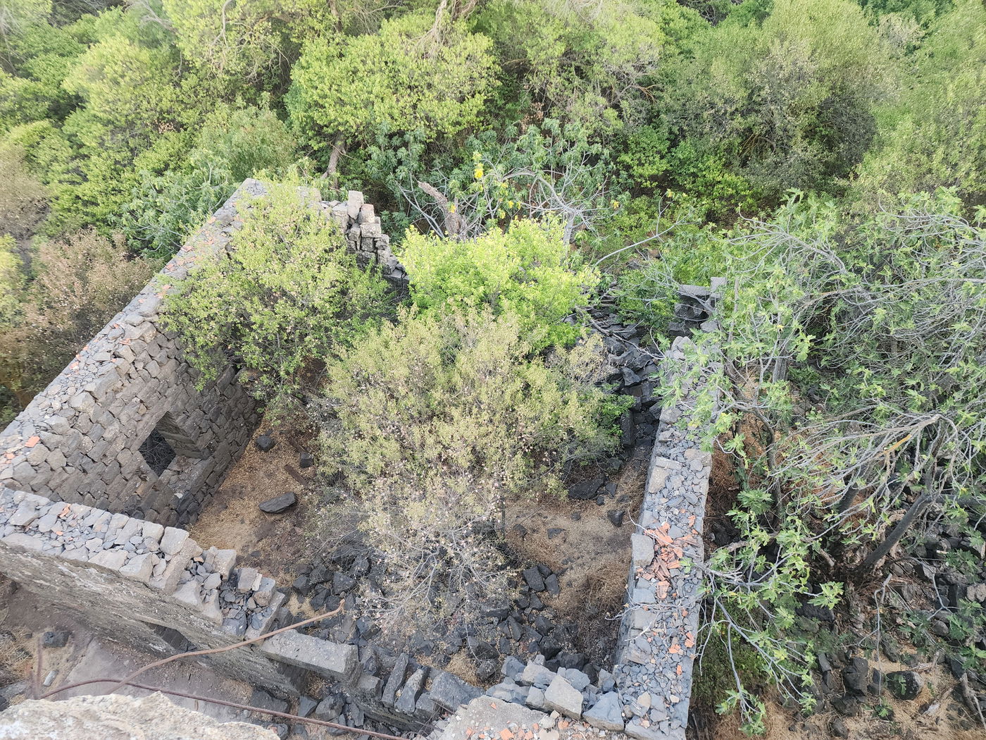 נפלאות כפר צֻרְמָן