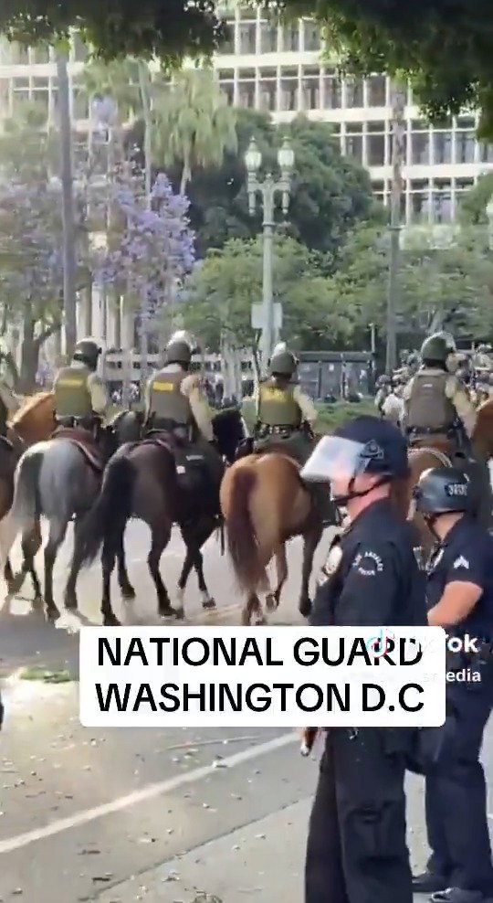 החיילים מגיעים לבירה