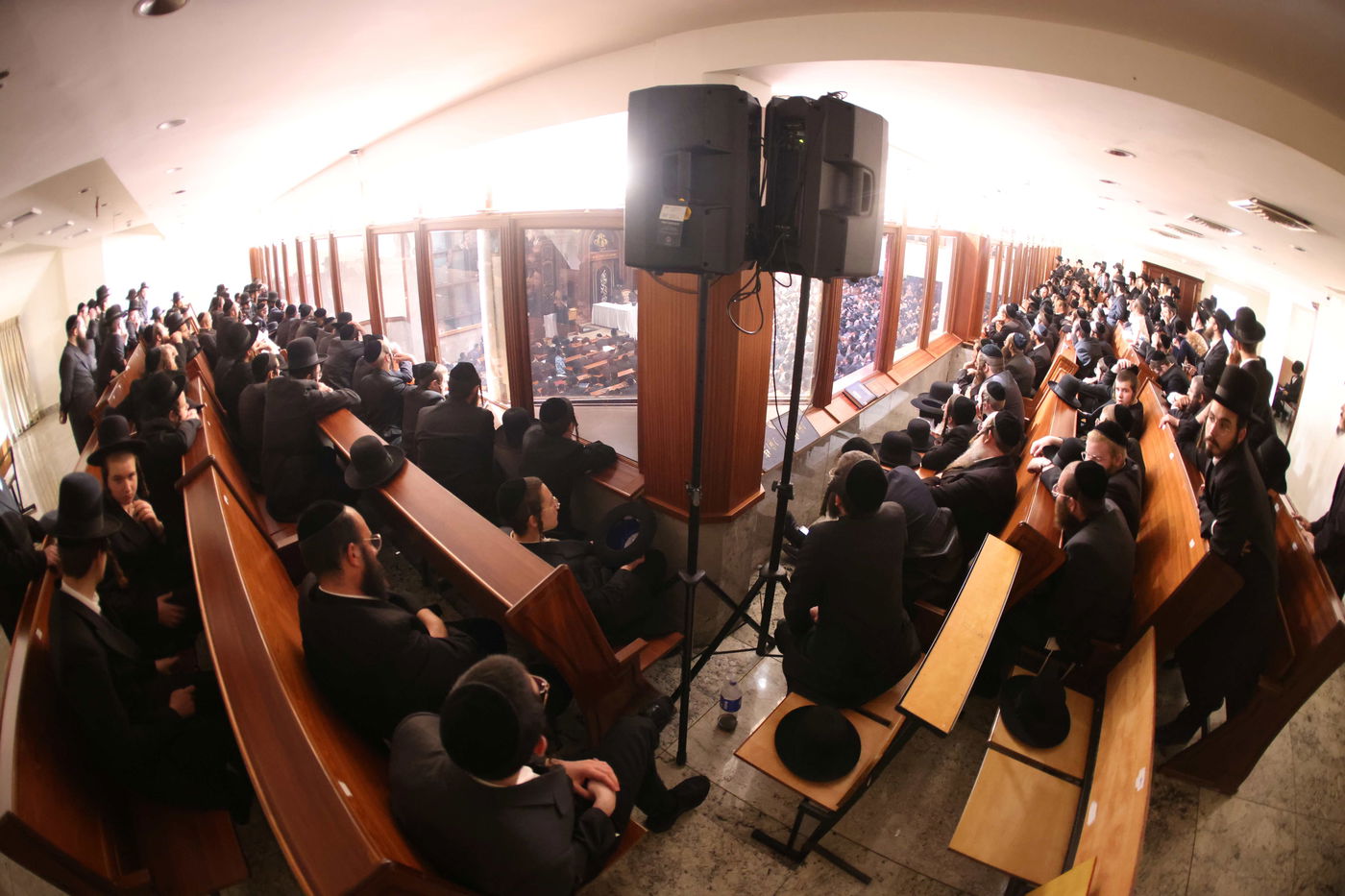 כינוס חסידי סלונים