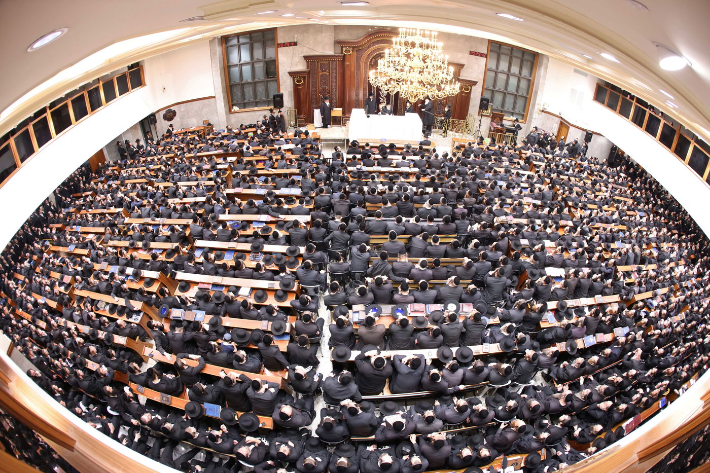 כינוס חסידי סלונים