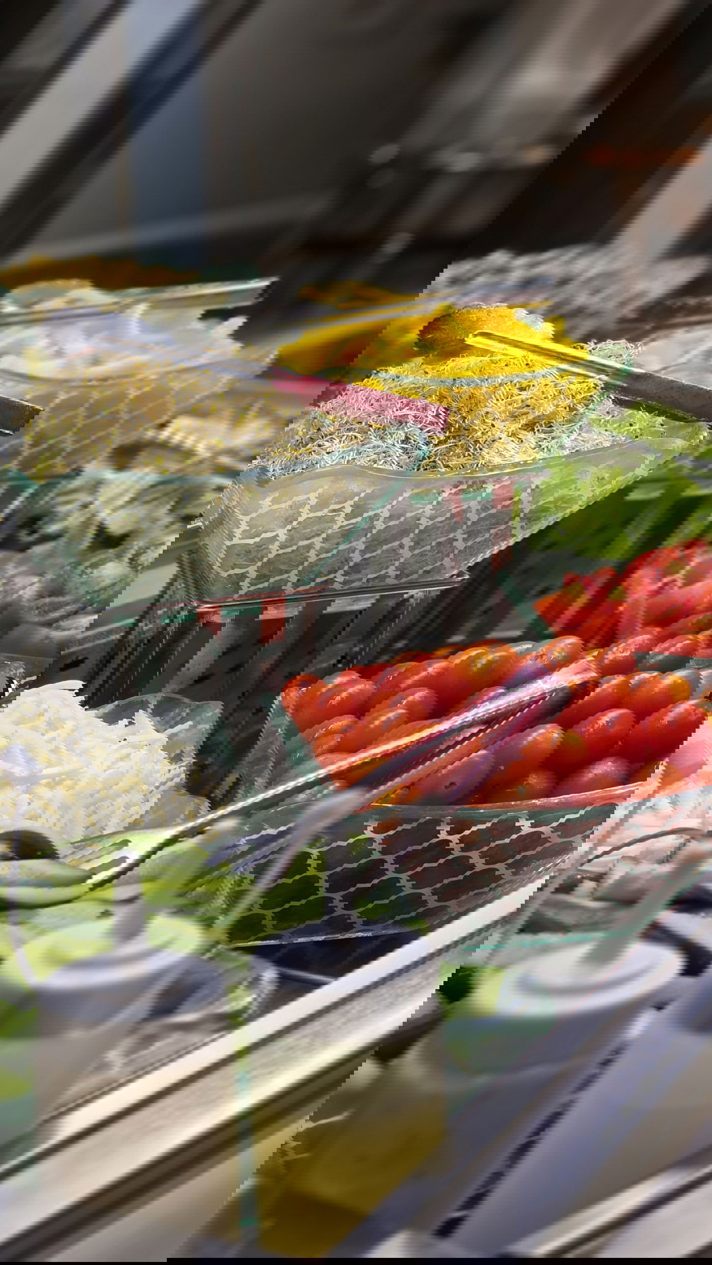 ילדי 'זה לזה' בנופשון קיץ