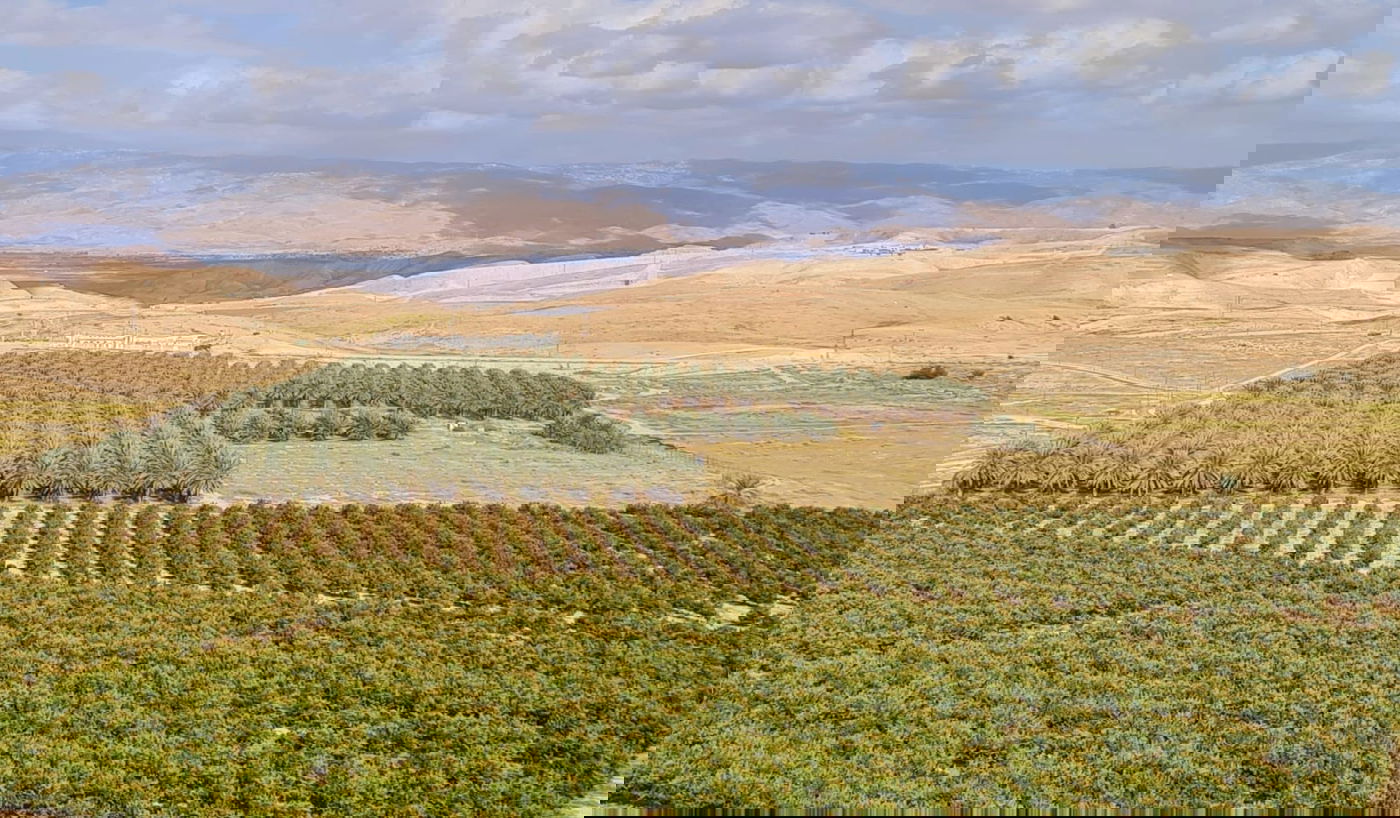   הצימר שוכן למרגלות מטעי תמרים ונוף מדברי, שקט ושלוות נפש במנות גדושות.