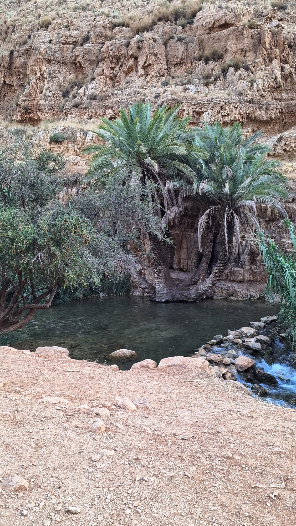 נחל עוג'א - 7 דקות נסיעה. עם בריכות מים והמגלשה המפורסמת