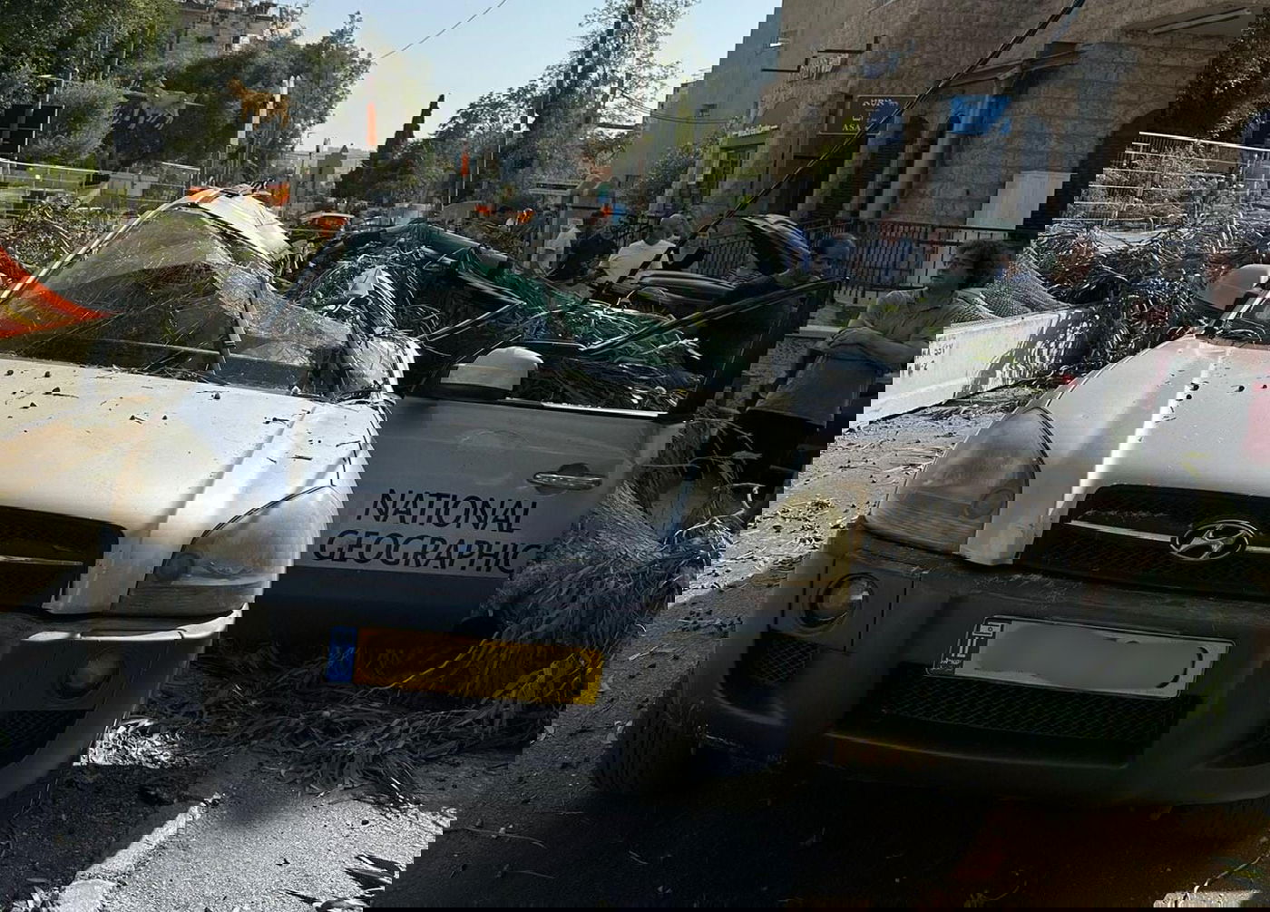 רגעי חרדה בירושלים: תייר נפצע כשעץ קרס על מכוניתו