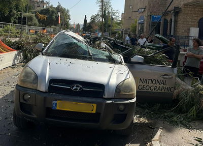 רגעי חרדה בירושלים: תייר נפצע כשעץ קרס על מכוניתו