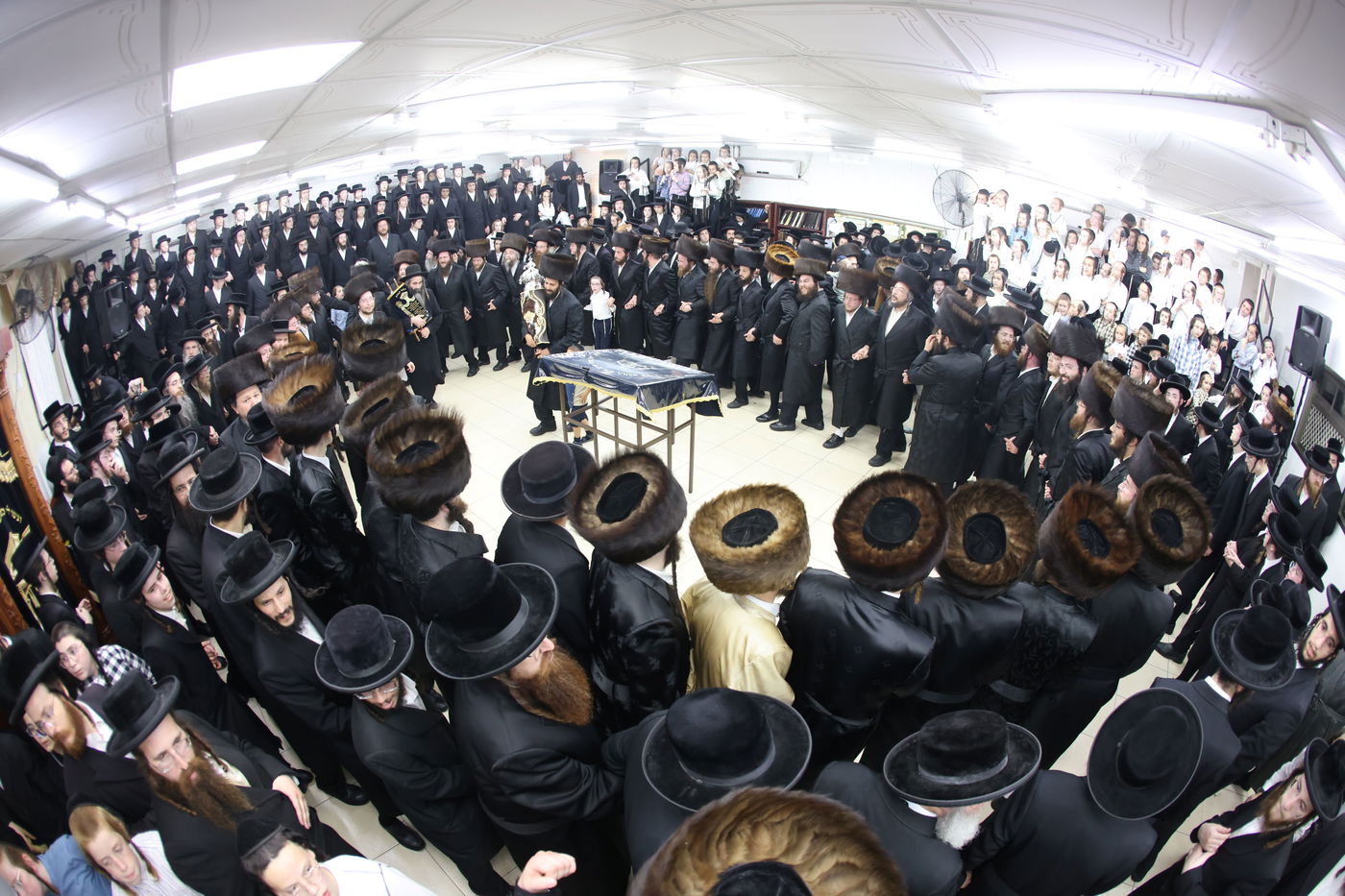 הכנסת ס"ת לביהמ"ד קהל חסידי ירושלים בבית שמש 