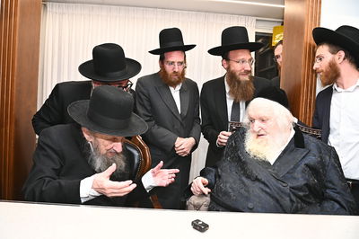 הגר"ד לנדו בביקור אצל הגר"מ שטרנבוך