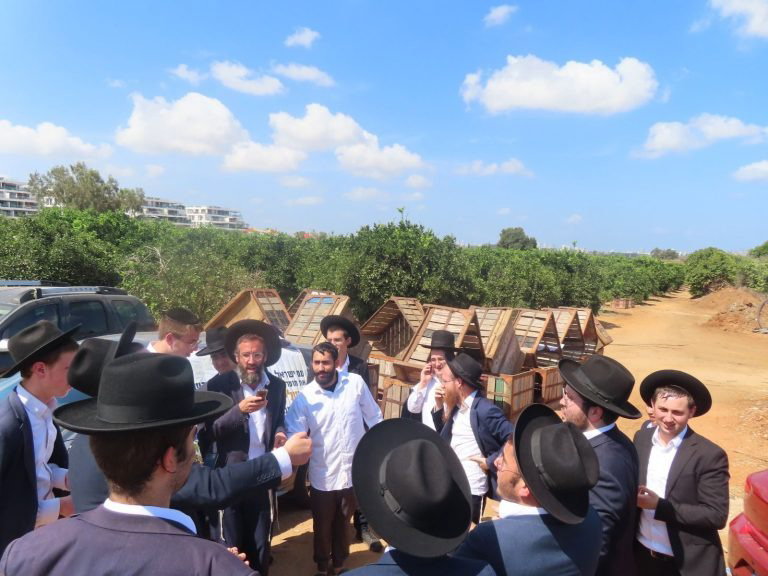מתקבל אחרי שחרורו מהכלא