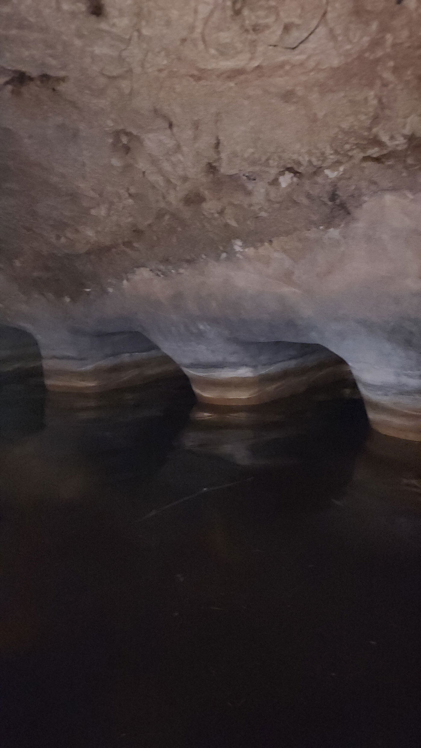 מעין עין לילית