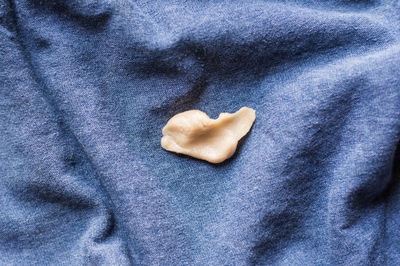 אין משהו יותר מתסכלמלגלות שמסטיק טרי החליט להתיישב לנצח על הבגד שלכם