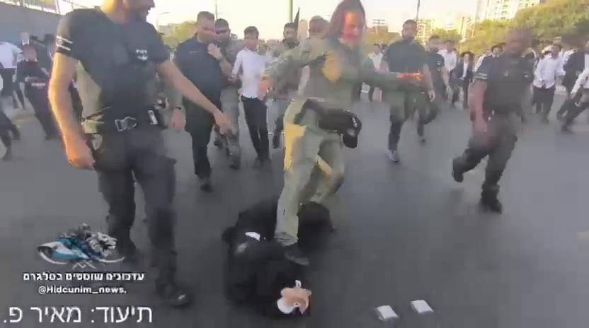 צילום מסך מתוך התיעוד שהסתובב ברשת