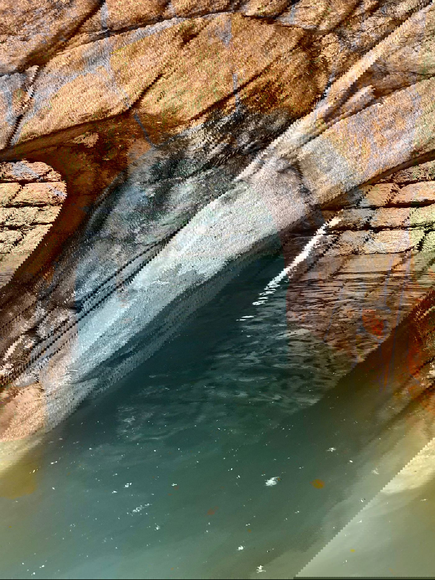 באר סֶגֶ'רָה בעונת אביב