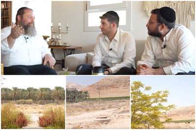 בין מאה שערים ליריחו: "כל אחד רגיל לערבים שלו - ומפחד מערבים שאחרים רגילים אליהם" | צפו