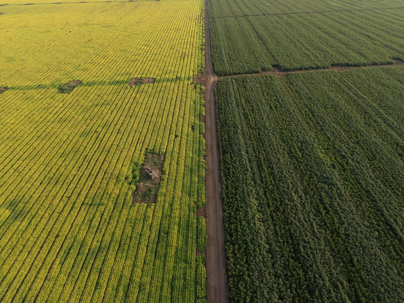 לקראת עומס חום כבד: תורגש הכבדה בעומסי החום בעיקר בהרים ובפנים הארץ