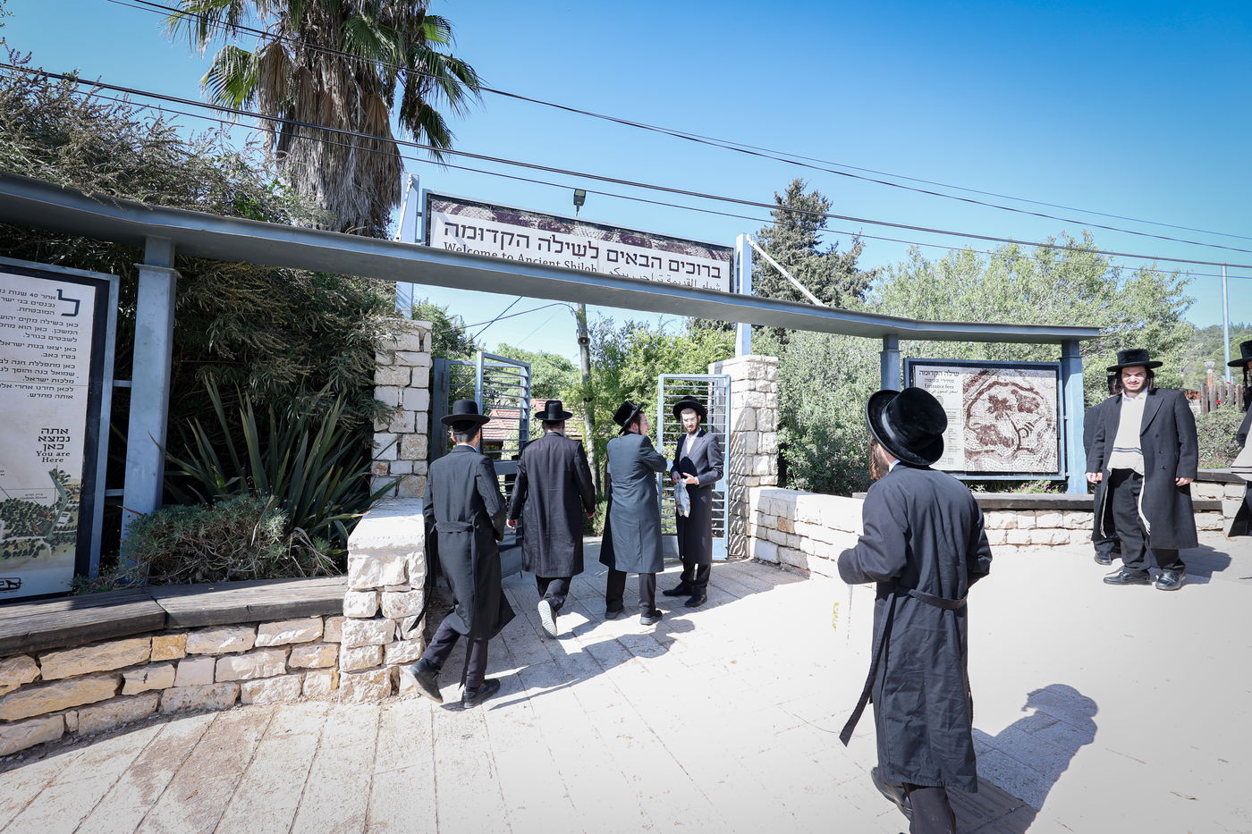 חסידים בשילה הקדומה