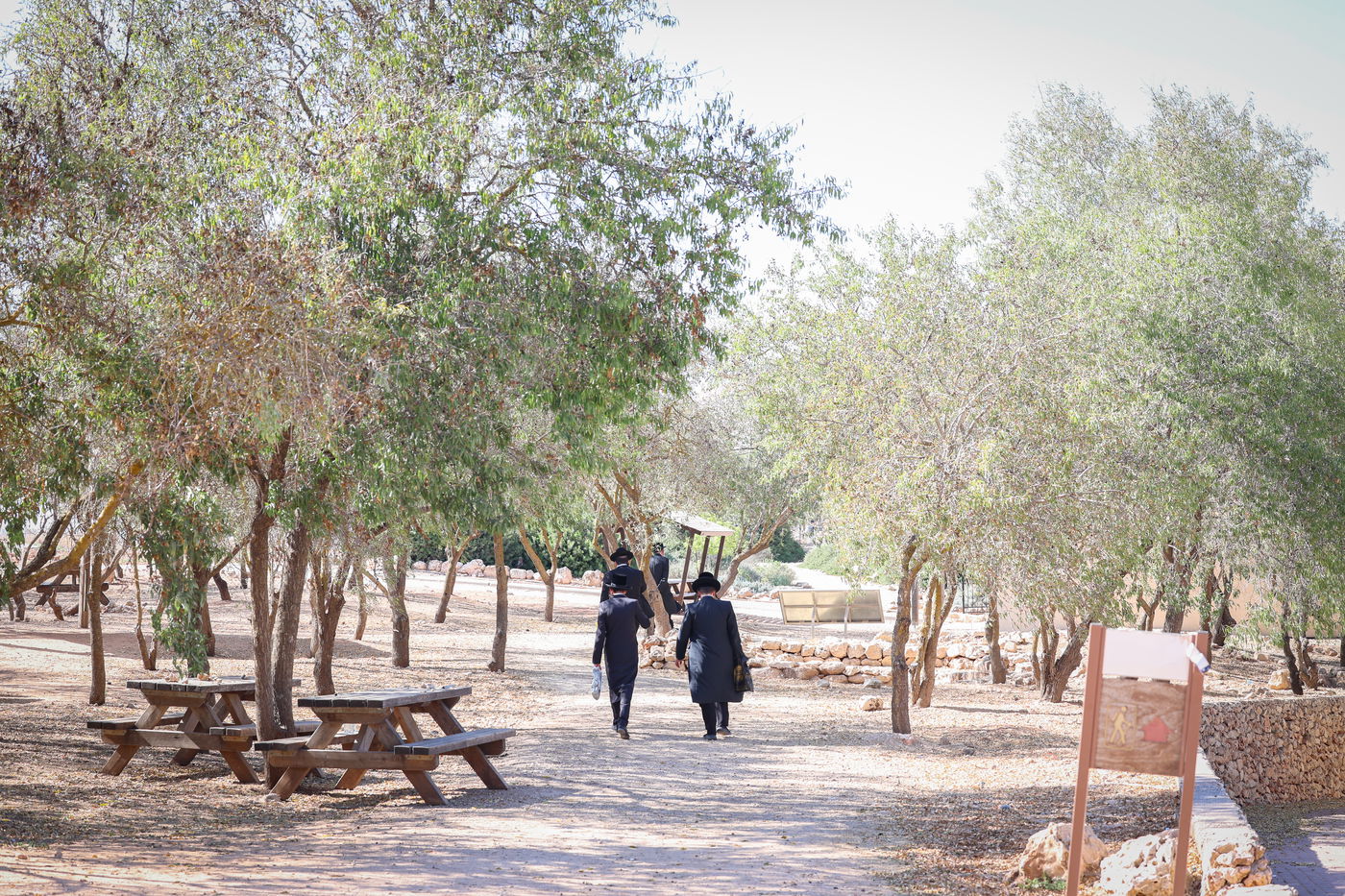 חסידים בשילה הקדומה