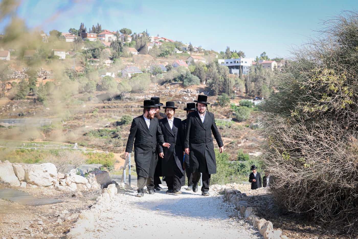 חסידים בשילה הקדומה