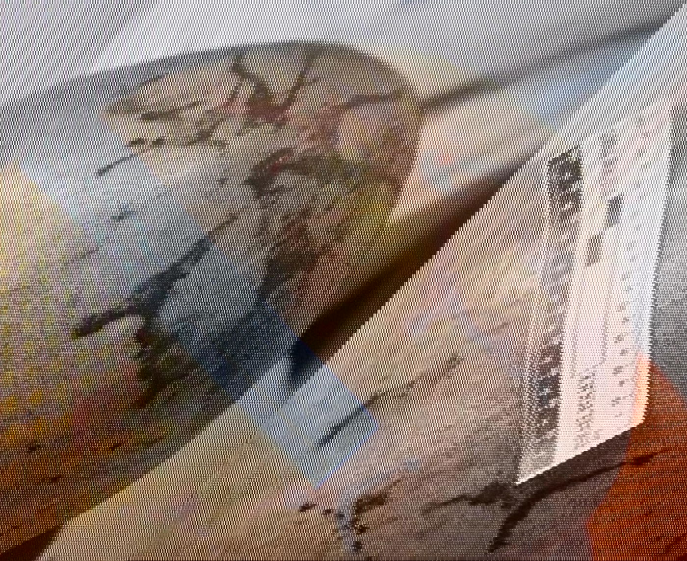 הפציעה בראש הקורבן