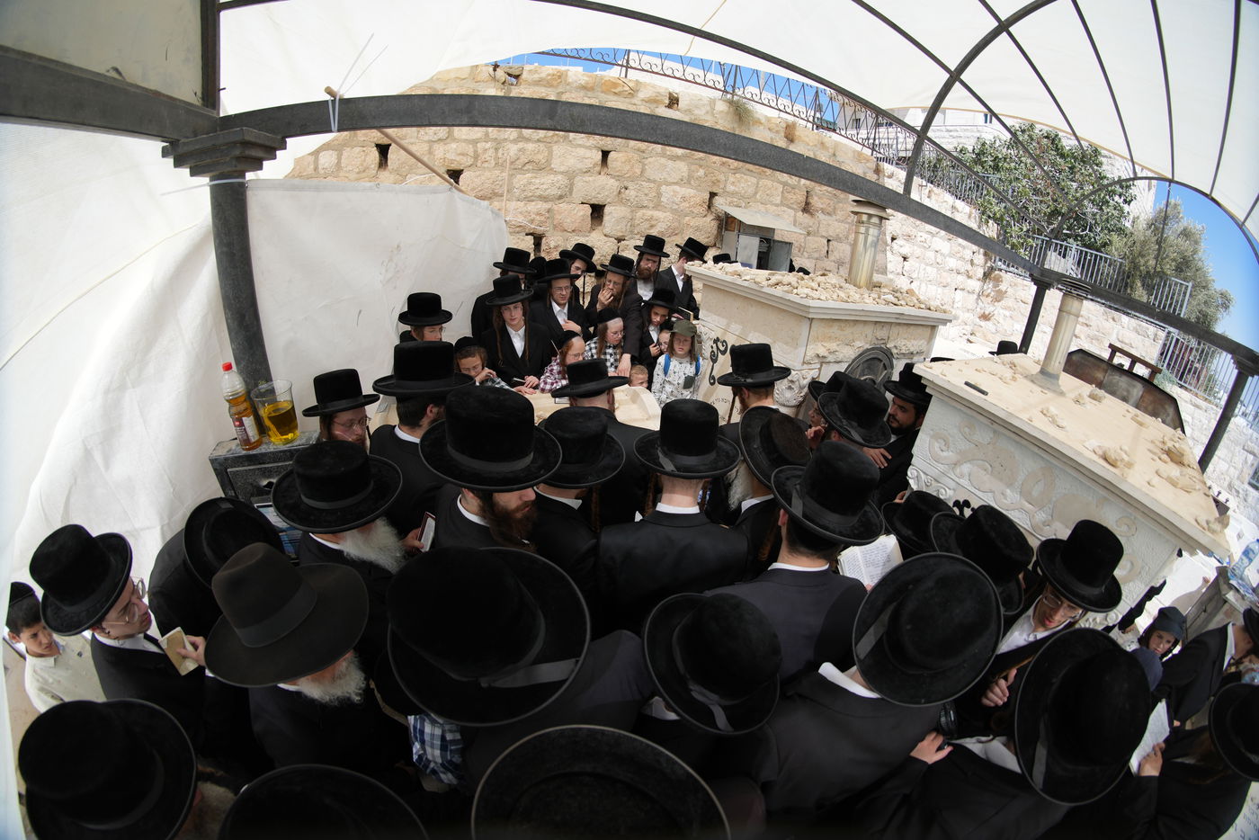 הילולא קדישא בשומרי אמונים