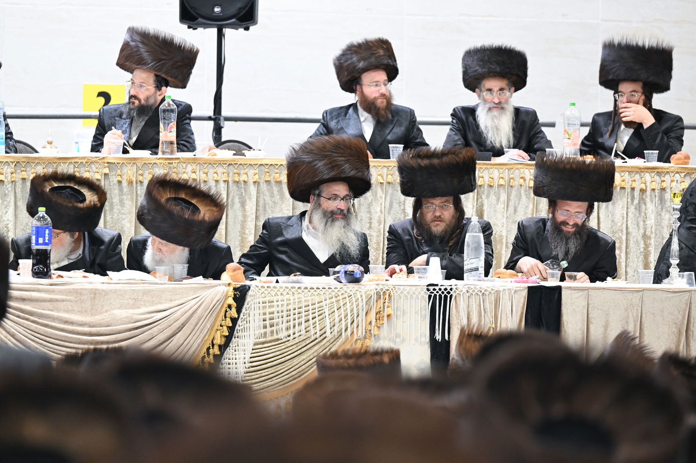 שמחת בר המצווה לנכד האדמו"ר מצאנז