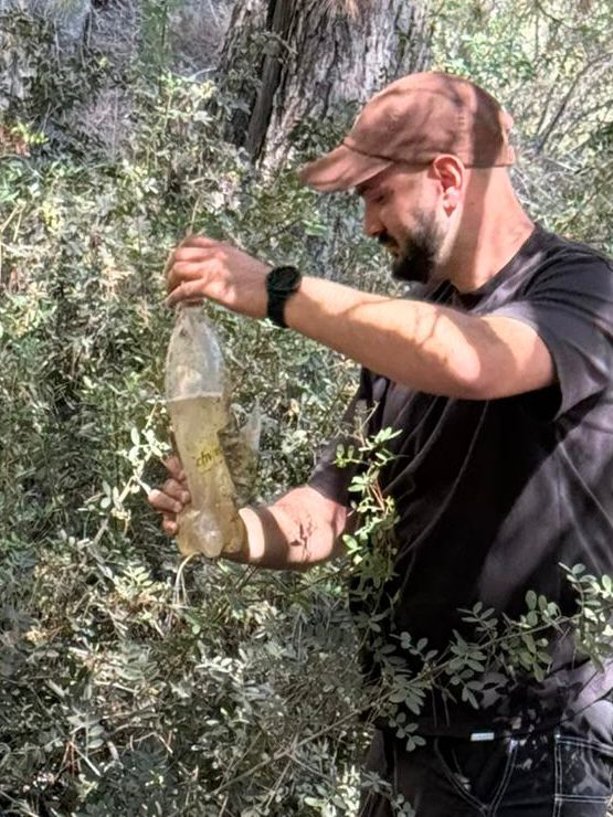 מה שנתפס היום