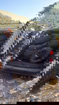 מה שנתפס היום