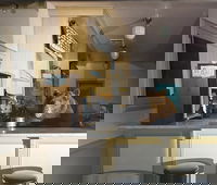 "Do NOT Touch" הדוב נתפס על חם