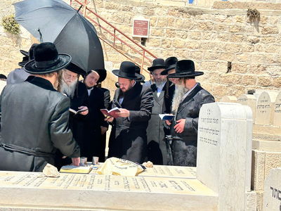 האחים האדמו"רים ממודז'יץ וקוזמיר בתפילה ע"י קבר אמם ע"ה