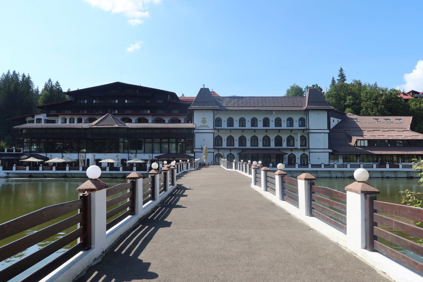 המחנה השנתי של 'חיים לילד' ברומניה