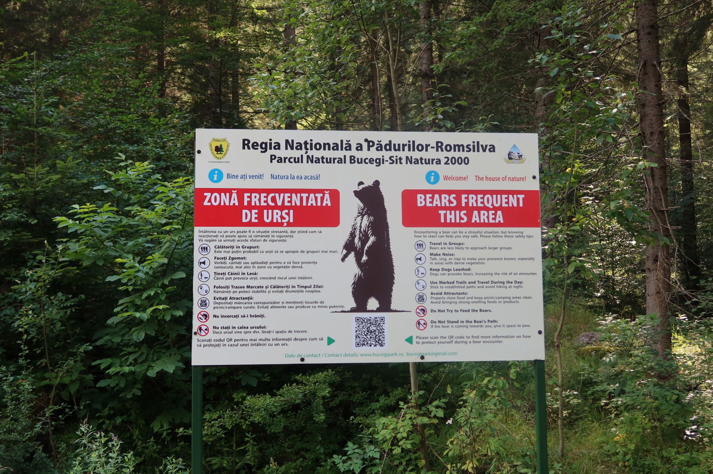 המחנה השנתי של 'חיים לילד' ברומניה