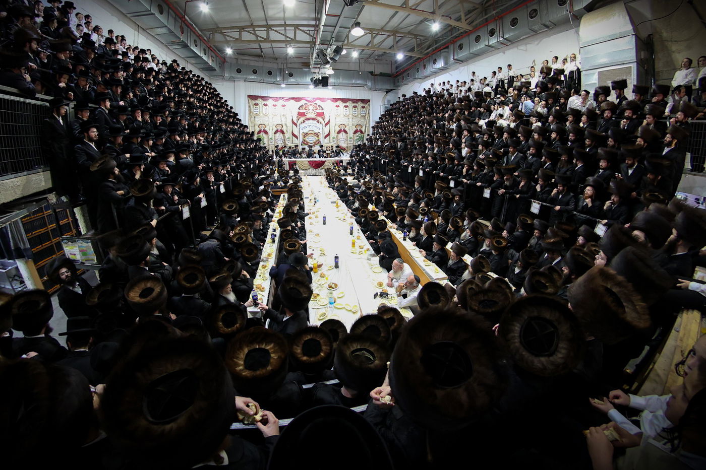 שמחת בר המצווה לנכדי האדמו"רים מסערט ויז'ניץ ומודז'יץ