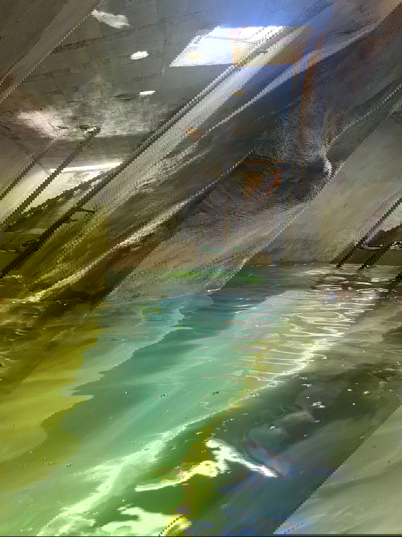 בור אדוריים [מתוך ספר 'המקומות הנדירים הקדושים והרטובים בארץ ישראל']