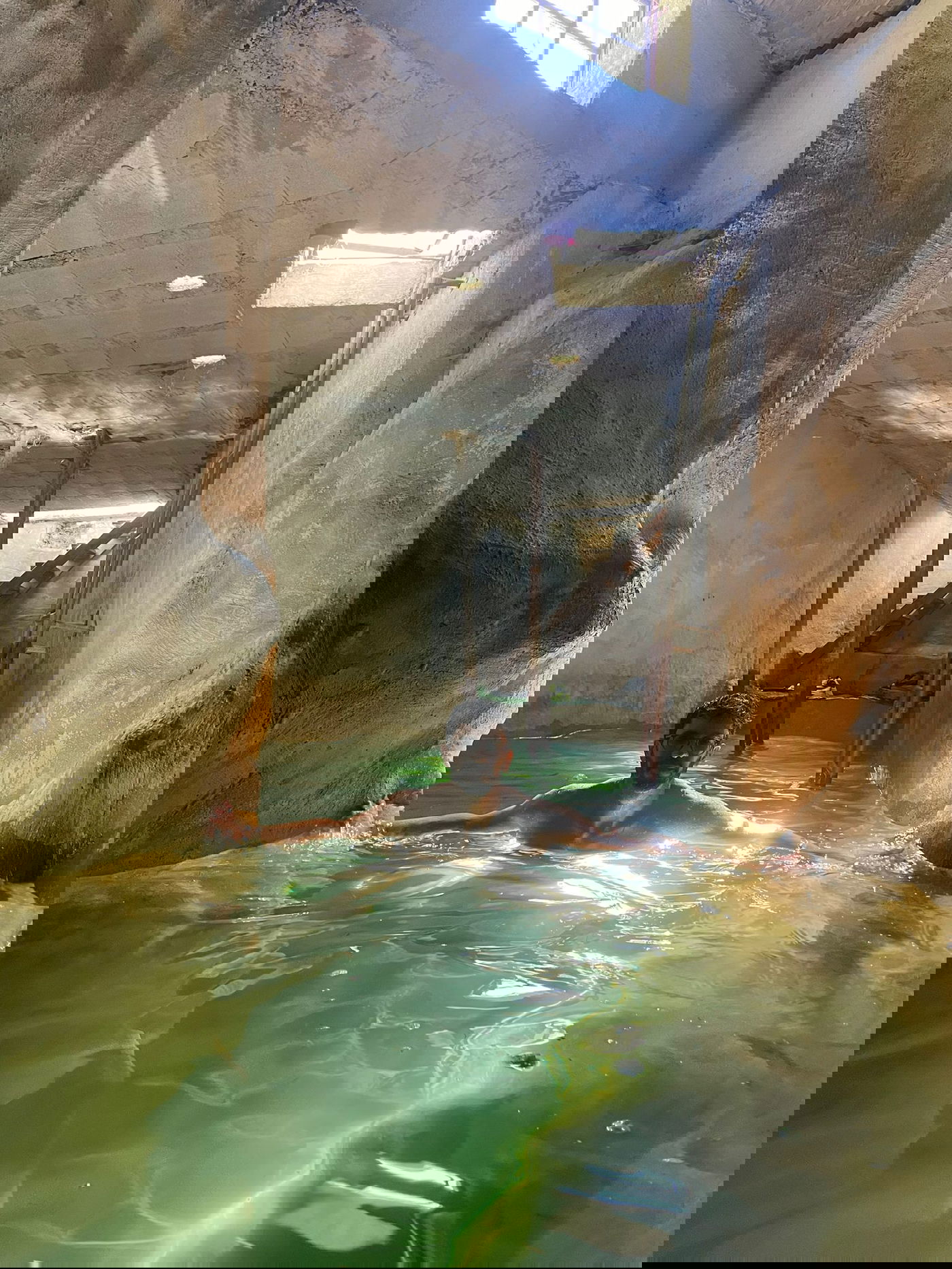 בור אדוריים [מתוך ספר 'המקומות הנדירים הקדושים והרטובים בארץ ישראל']